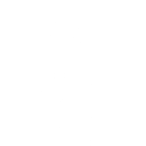 Picture of Houston Rockets